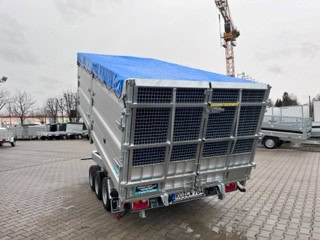TR35-40 Tridax – Bild 2